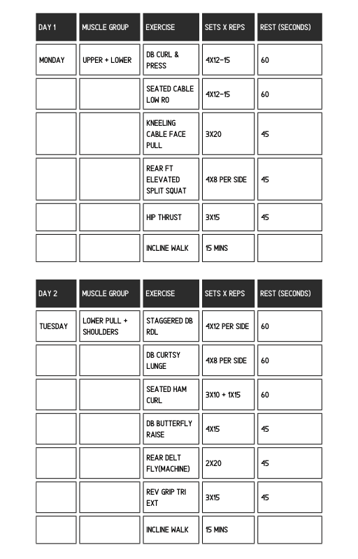 6 Week "On The Go" Ebook
