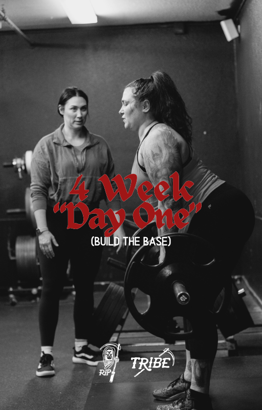 4 Week Beginner Ebook