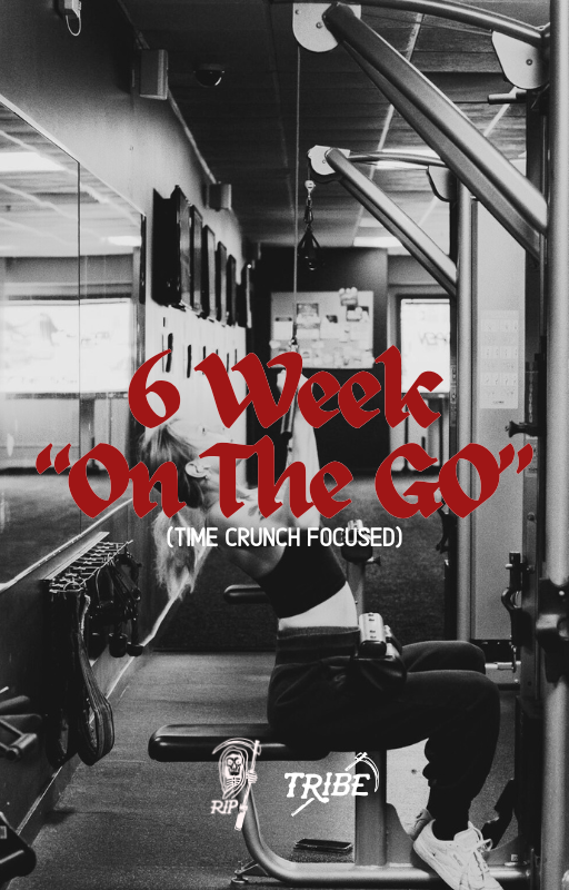 6 Week "On The Go" Ebook